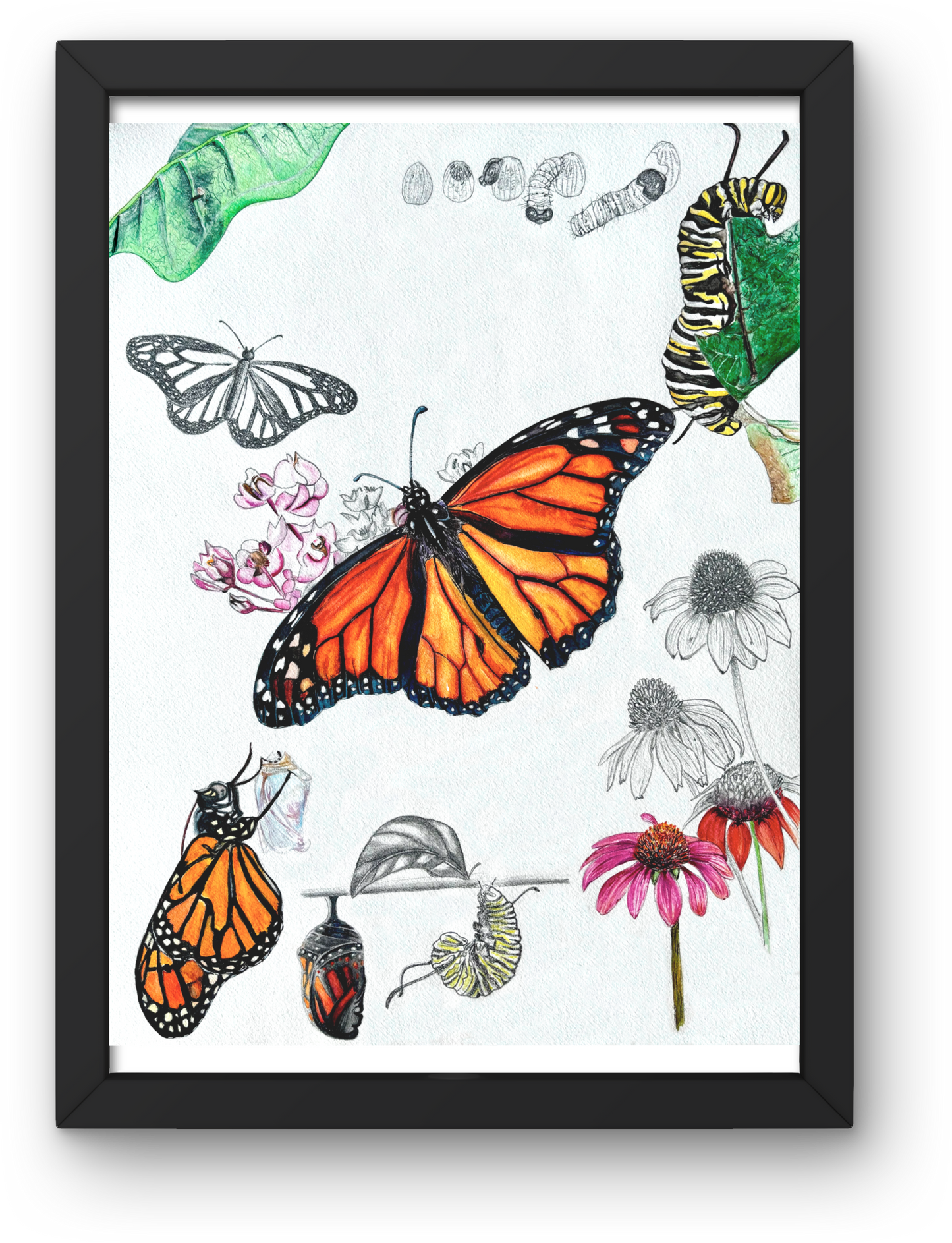 “She was growing all along” – Limited Edition Print (No Text)