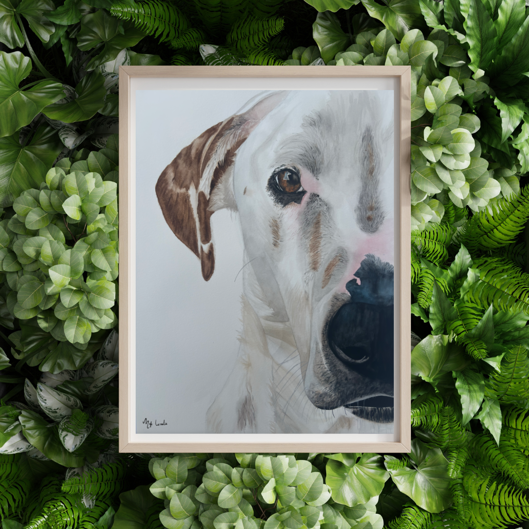 Our Spot: A way to immortalize your Pet (Print)
